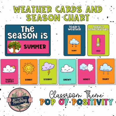 Weather Flash cards and Posters | Seasons Chart | Daily Weather Chart | Classroom Printables | Class Decor